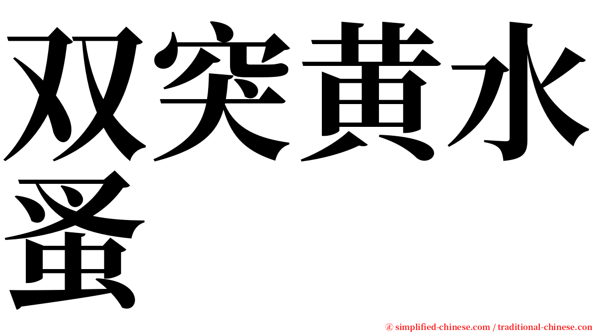 双突黄水蚤 serif font