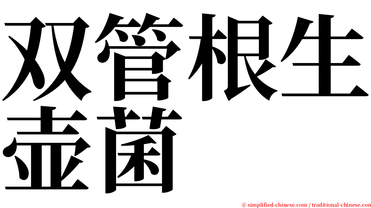 双管根生壶菌 serif font