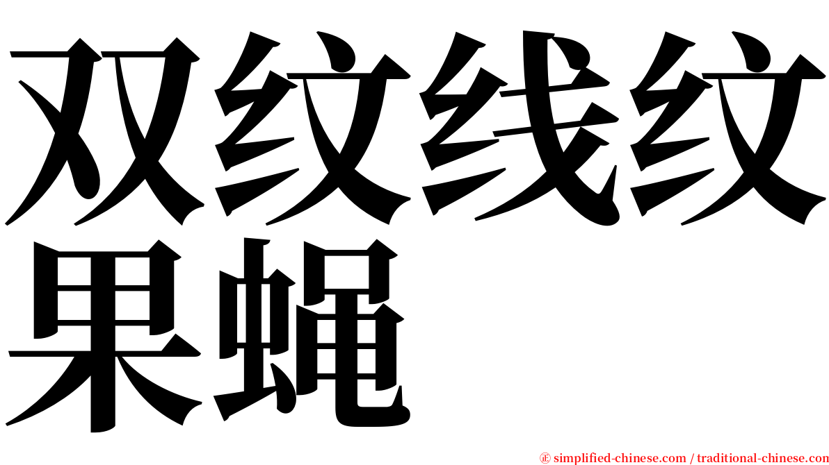 双纹线纹果蝇 serif font