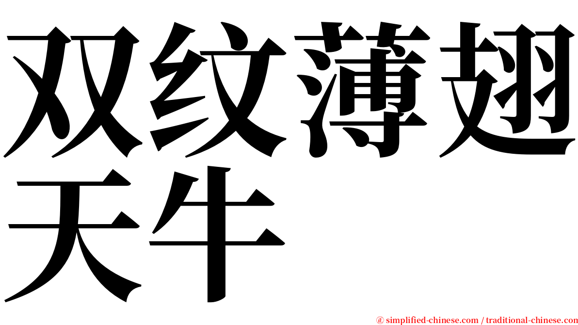 双纹薄翅天牛 serif font