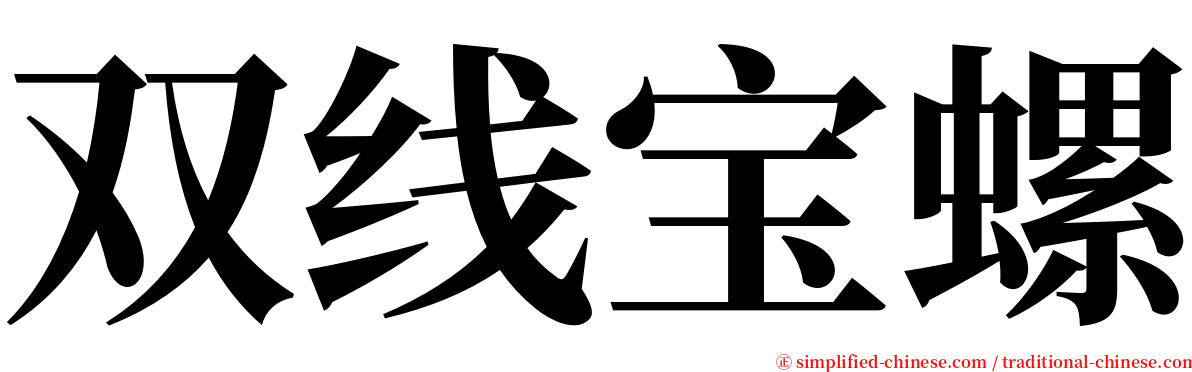 双线宝螺 serif font