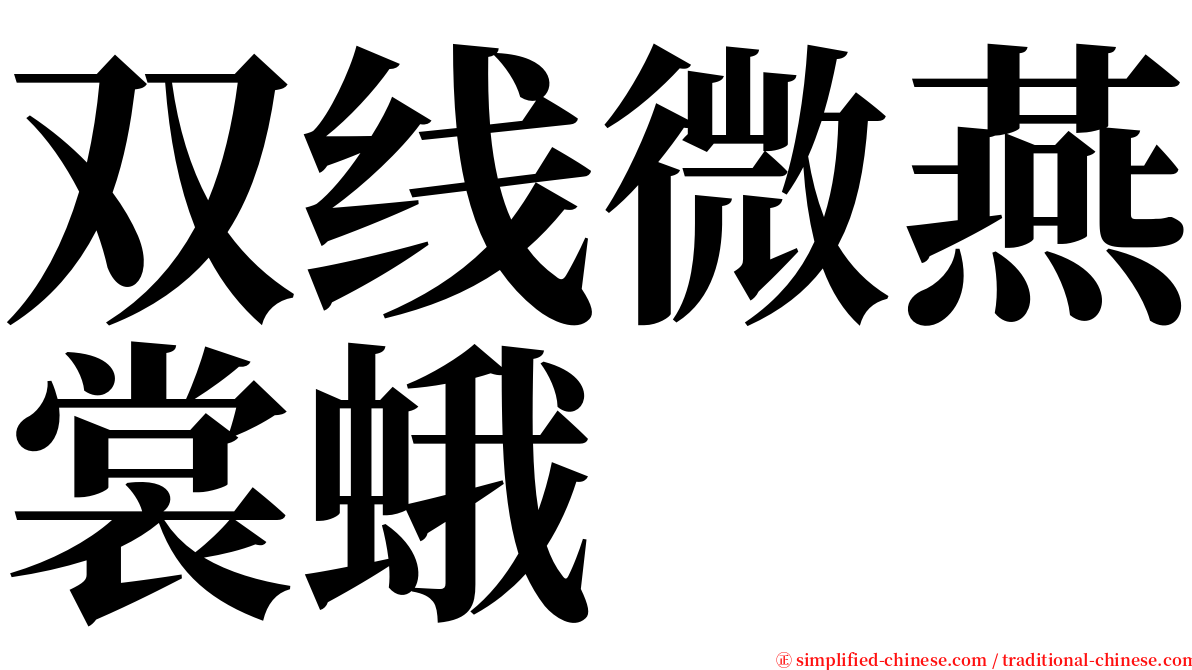 双线微燕裳蛾 serif font