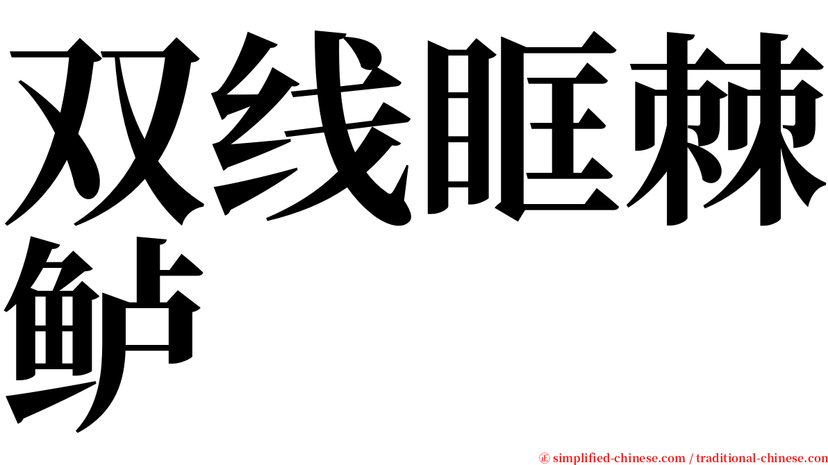 双线眶棘鲈 serif font