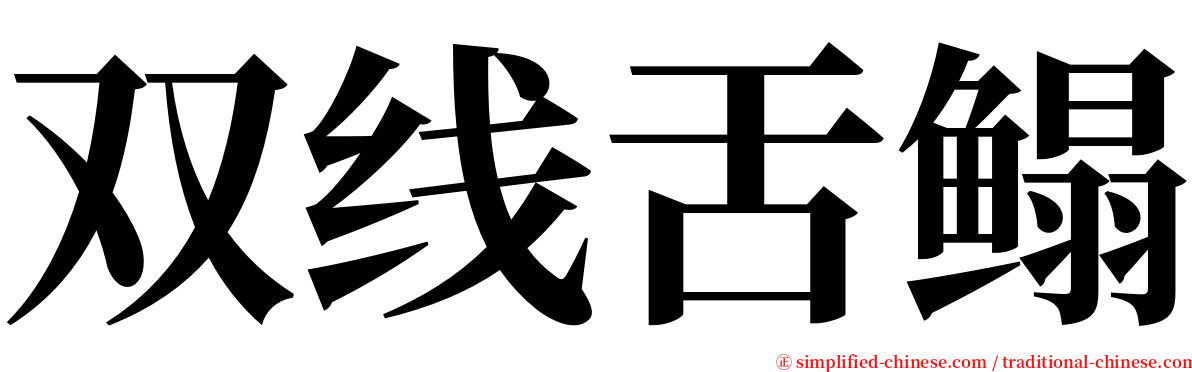 双线舌鳎 serif font