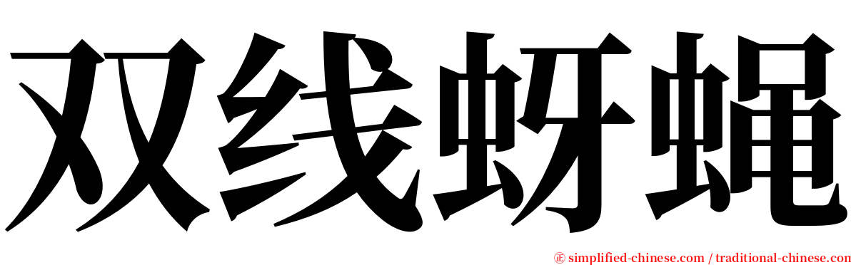 双线蚜蝇 serif font