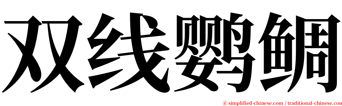 双线鹦鲷 serif font