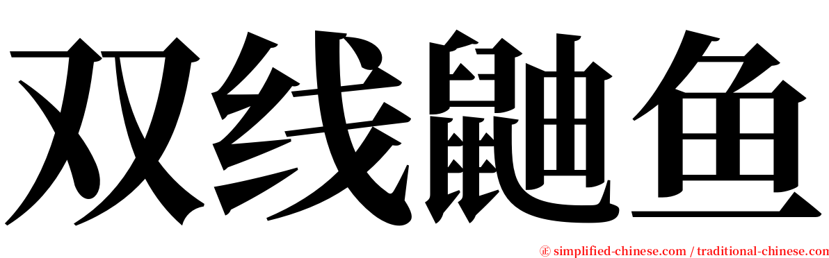 双线鼬鱼 serif font