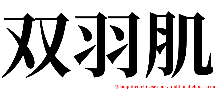 双羽肌 serif font