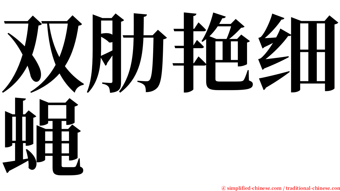 双肋艳细蝇 serif font