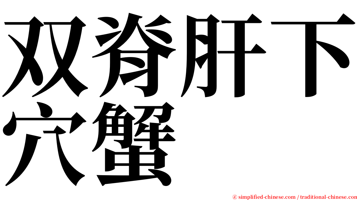 双脊肝下穴蟹 serif font