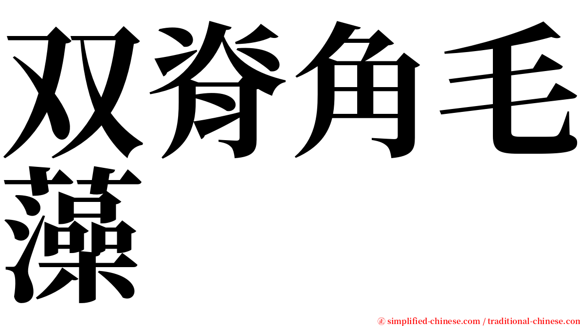 双脊角毛藻 serif font