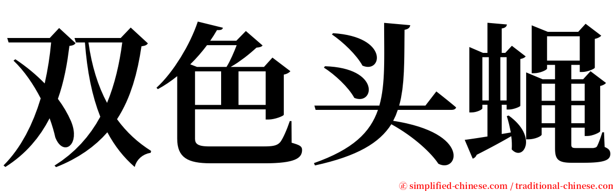 双色头蝇 serif font