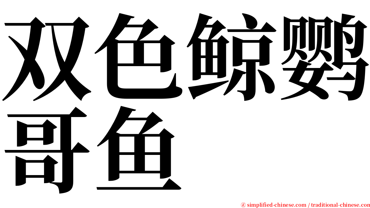 双色鲸鹦哥鱼 serif font