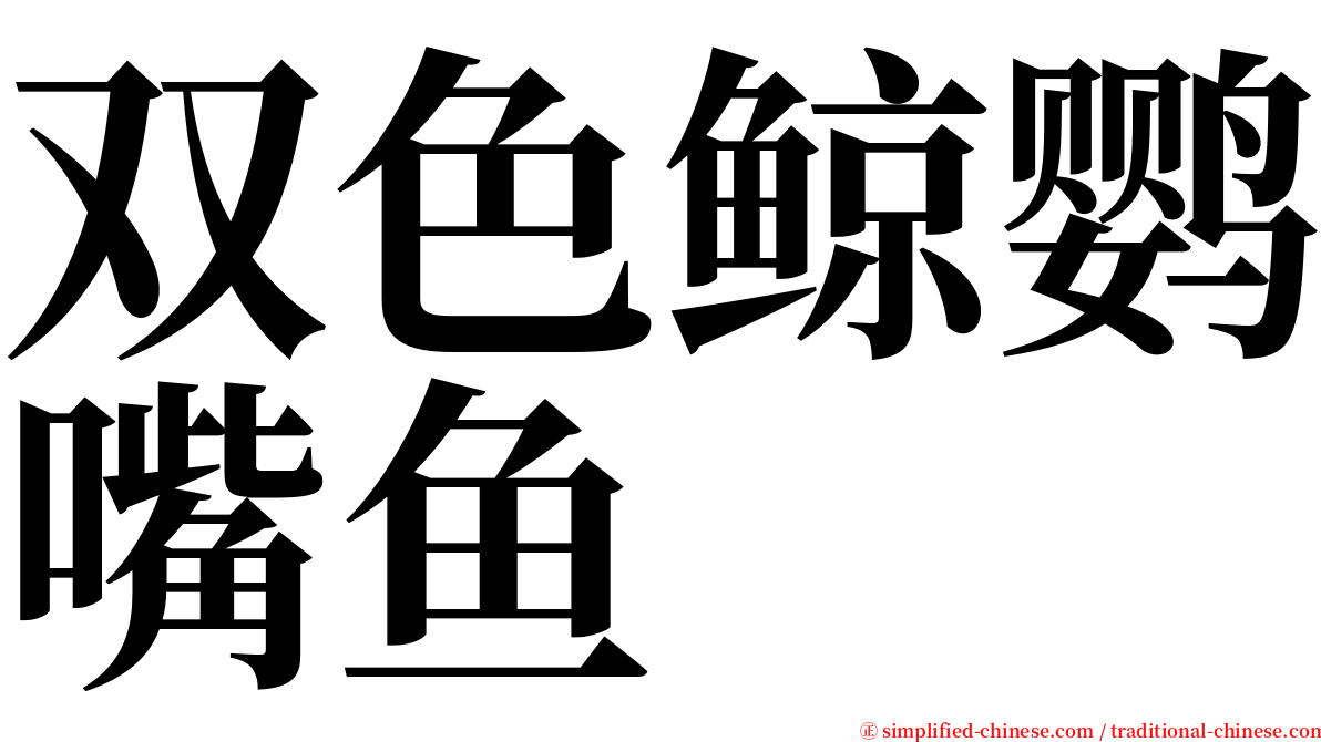 双色鲸鹦嘴鱼 serif font