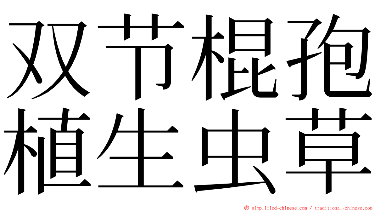 双节棍孢植生虫草 ming font