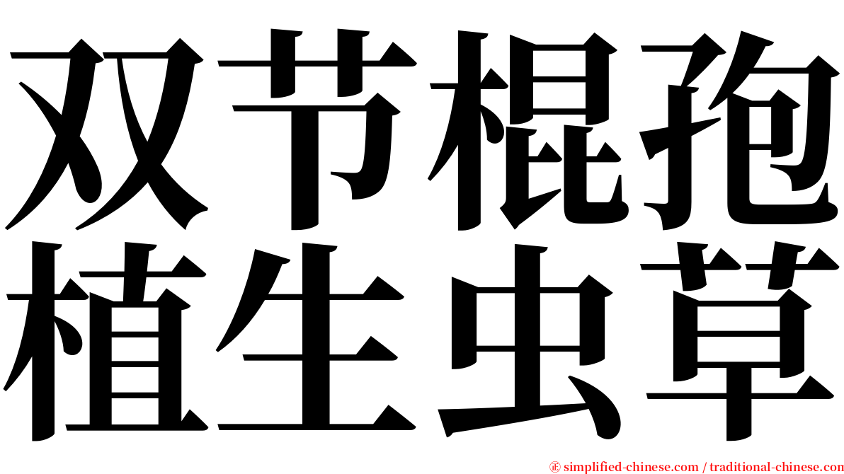 双节棍孢植生虫草 serif font