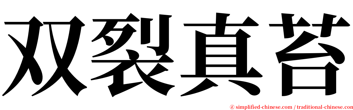 双裂真苔 serif font