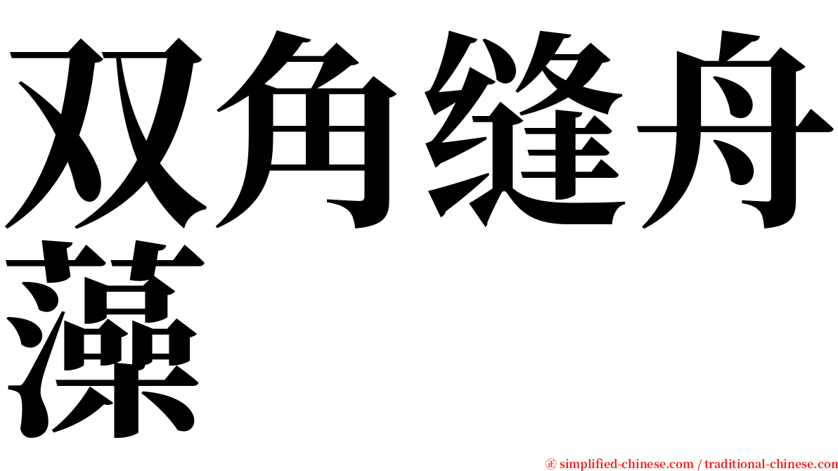 双角缝舟藻 serif font