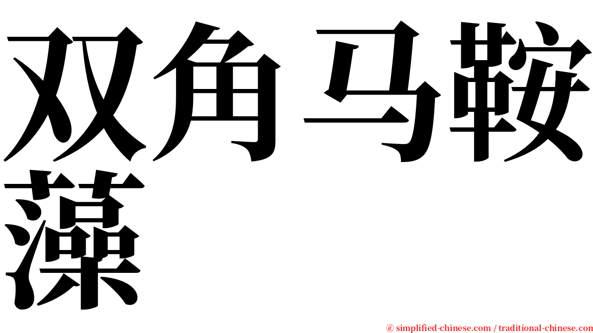 双角马鞍藻 serif font