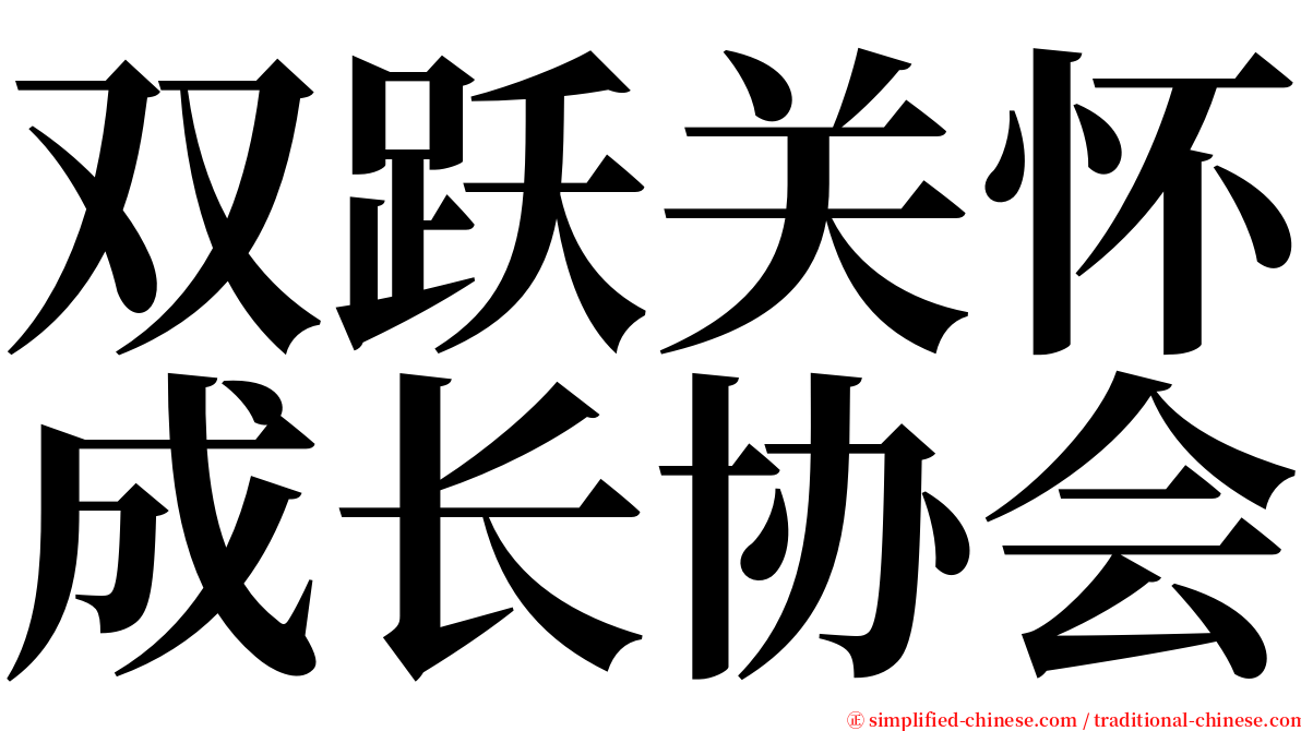 双跃关怀成长协会 serif font