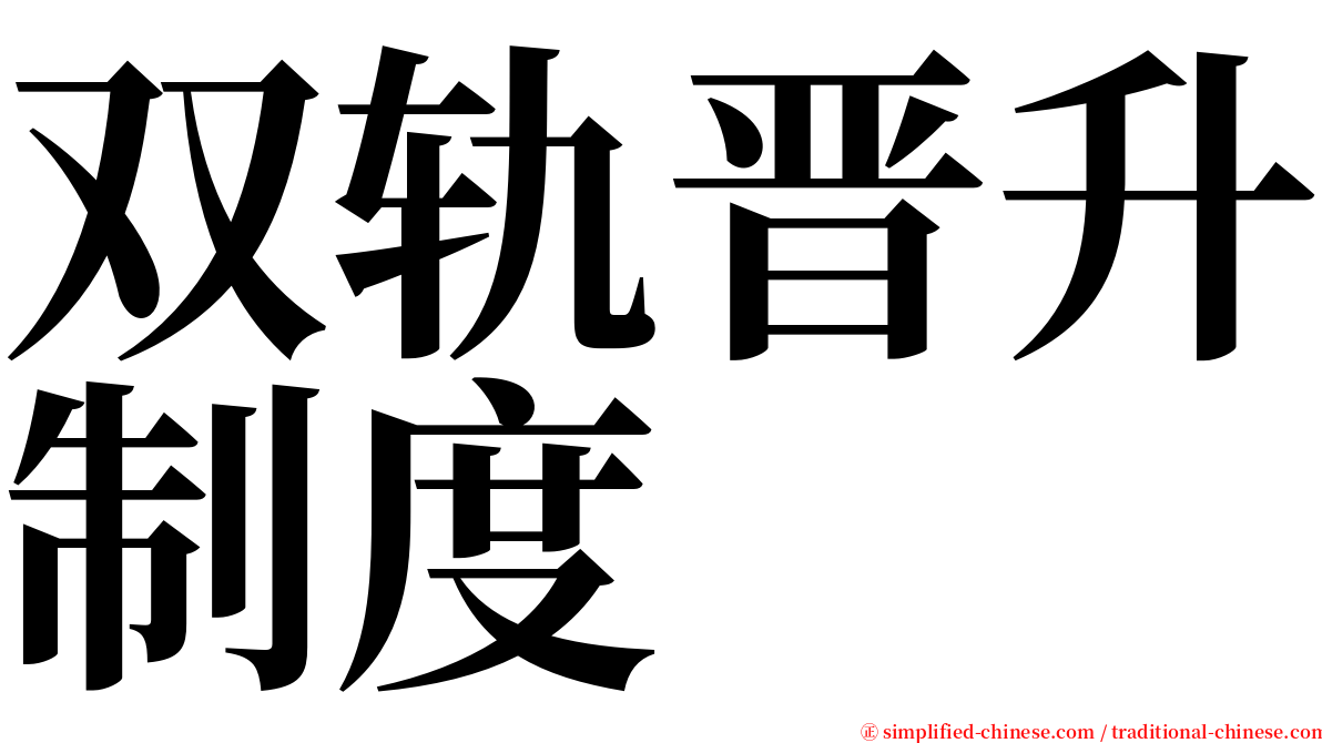 双轨晋升制度 serif font