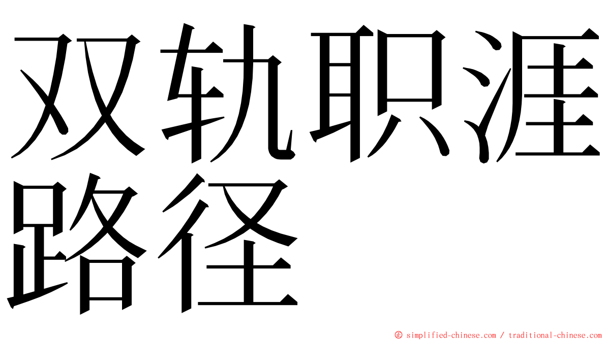 双轨职涯路径 ming font