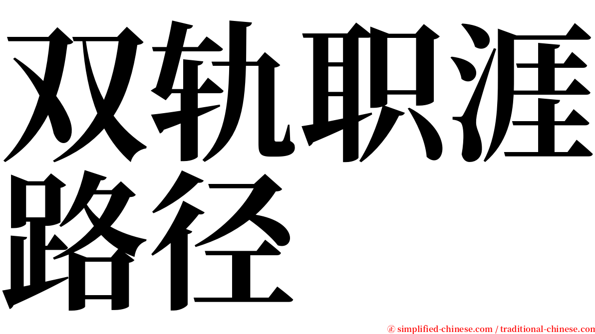 双轨职涯路径 serif font