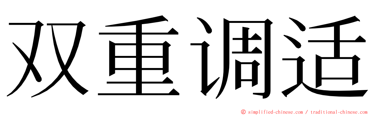 双重调适 ming font