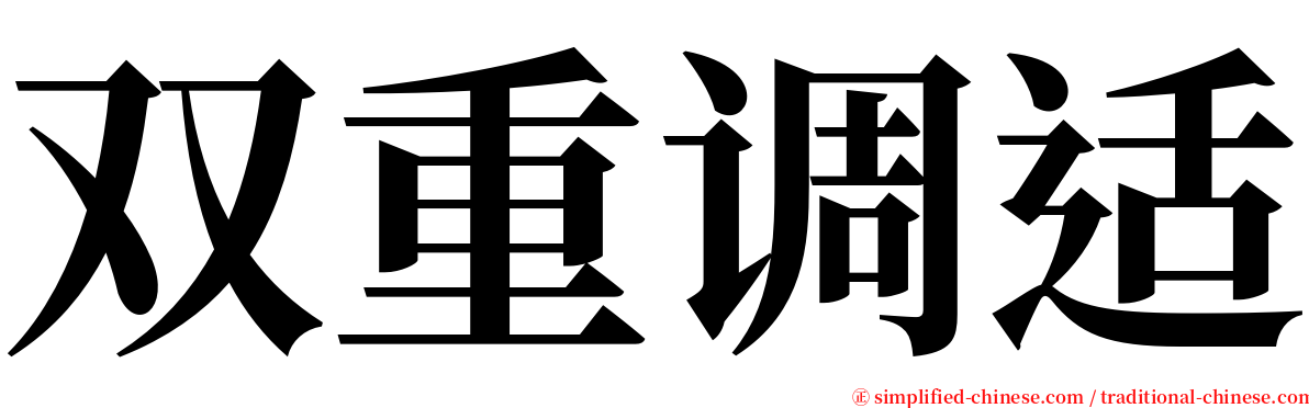 双重调适 serif font