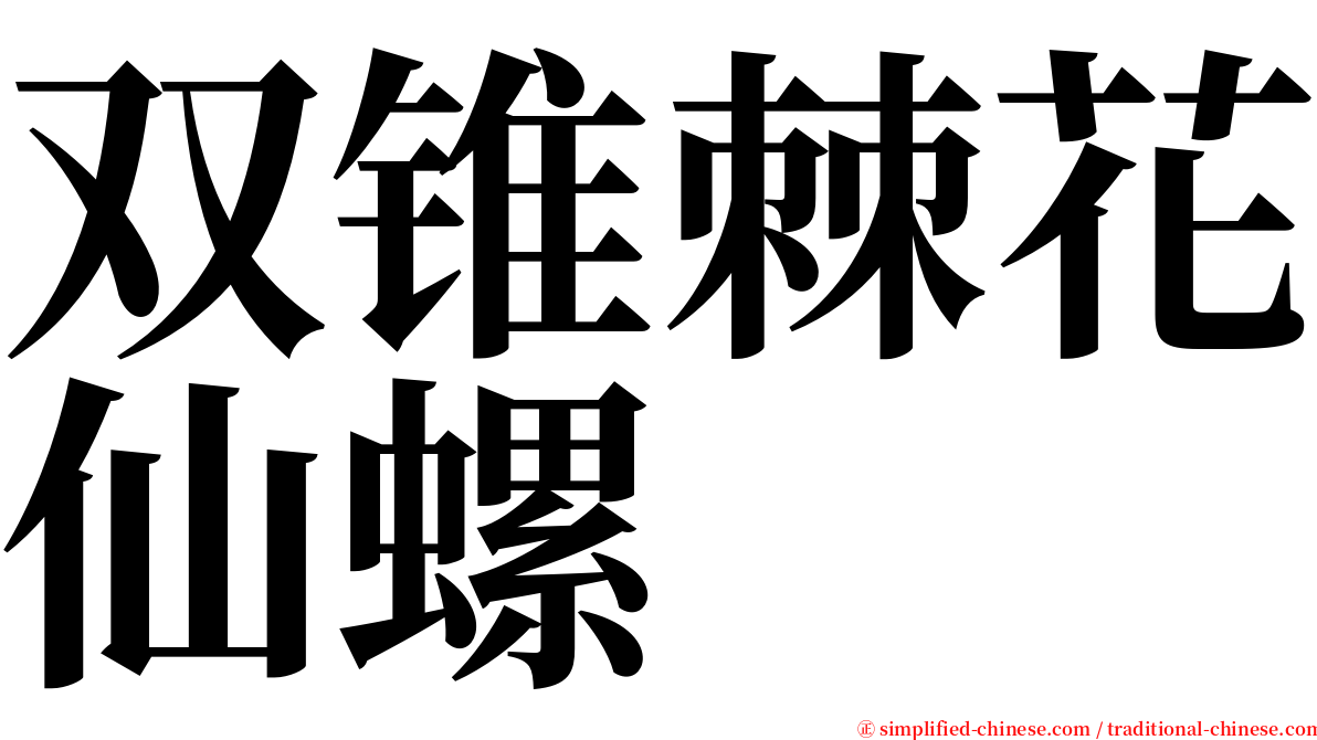 双锥棘花仙螺 serif font