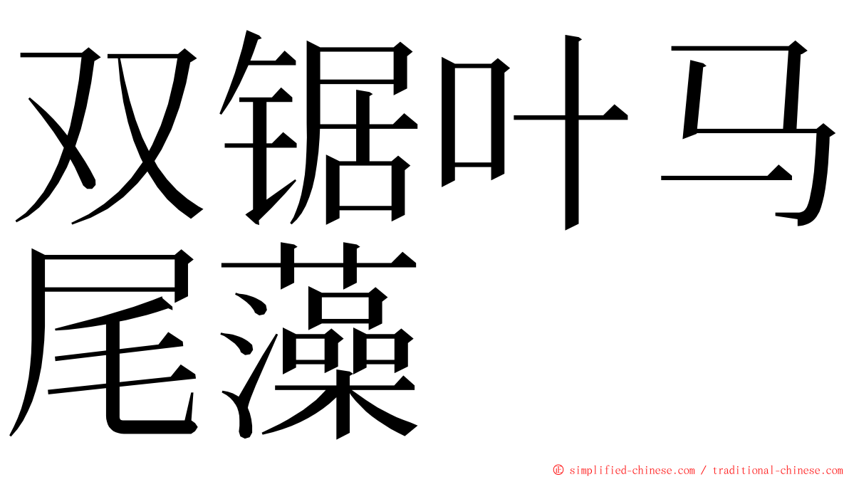 双锯叶马尾藻 ming font