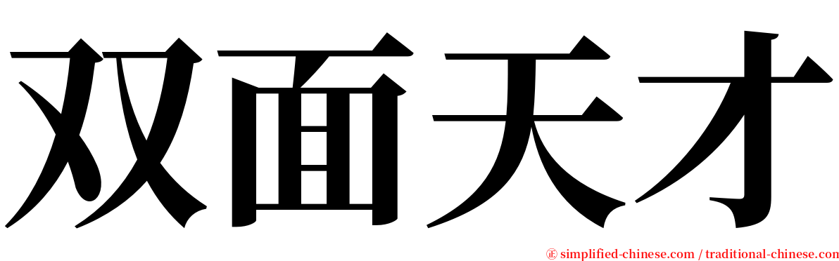 双面天才 serif font