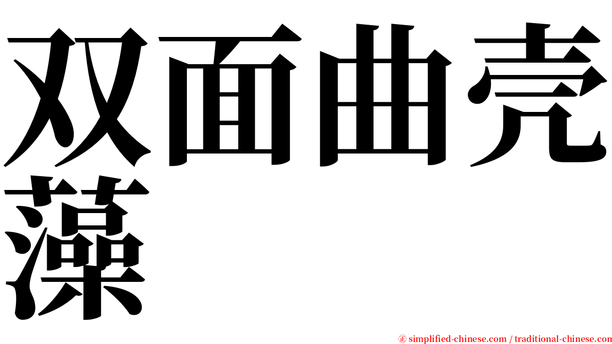 双面曲壳藻 serif font