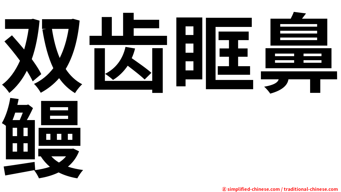 双齿眶鼻鳗