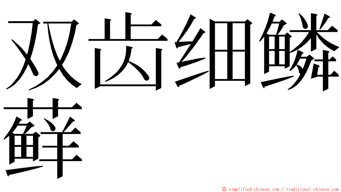 双齿细鳞藓 ming font