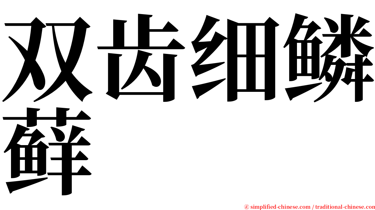 双齿细鳞藓 serif font