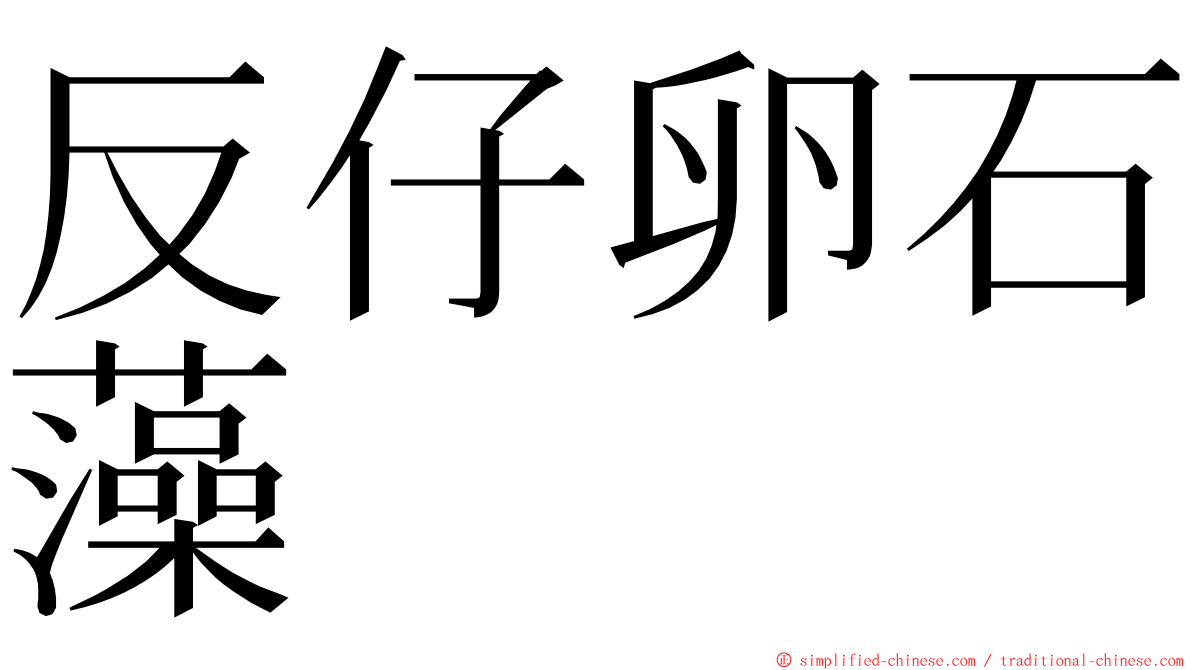 反仔卵石藻 ming font