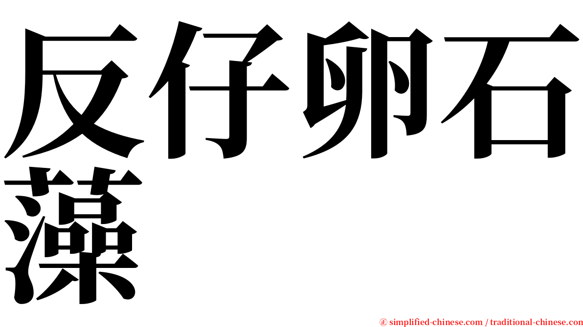 反仔卵石藻 serif font