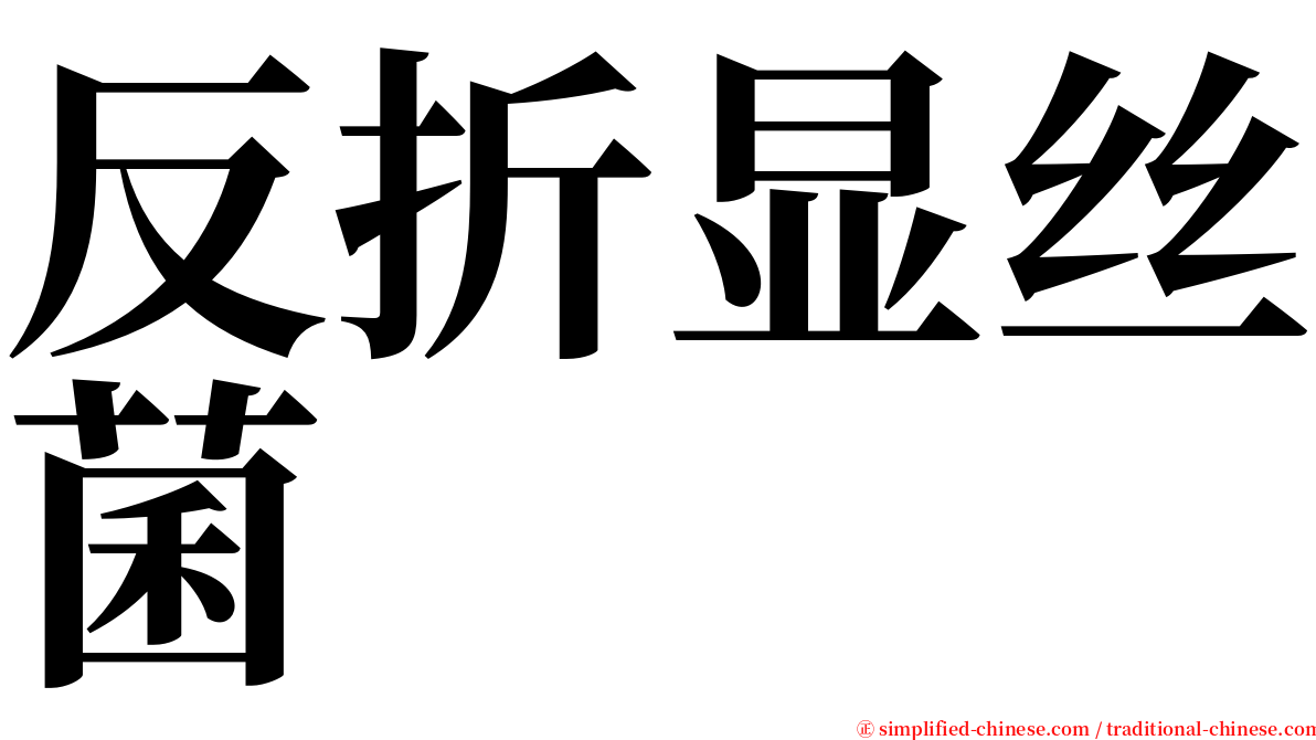 反折显丝菌 serif font