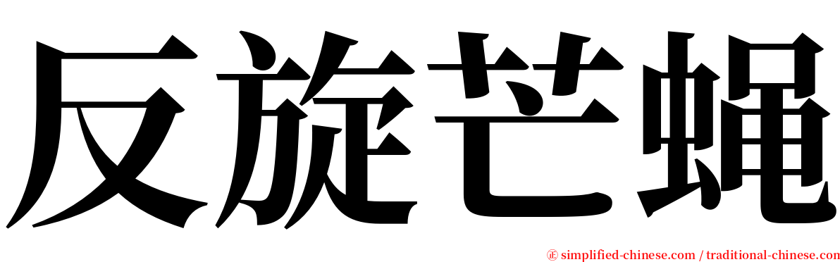 反旋芒蝇 serif font