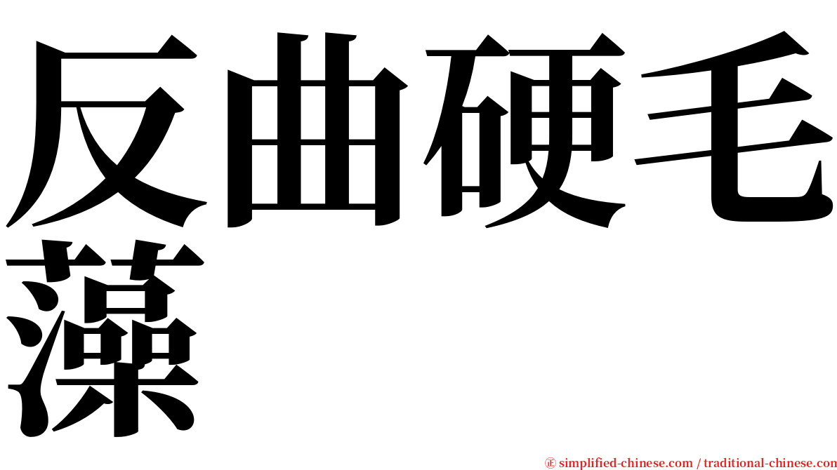 反曲硬毛藻 serif font