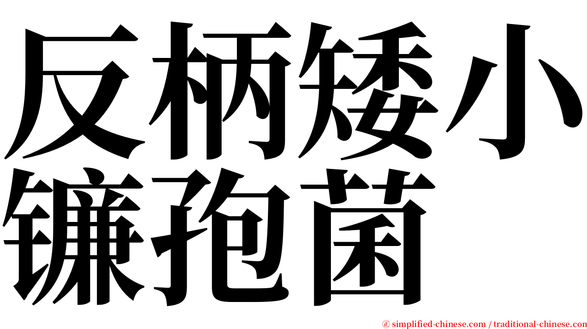 反柄矮小镰孢菌 serif font