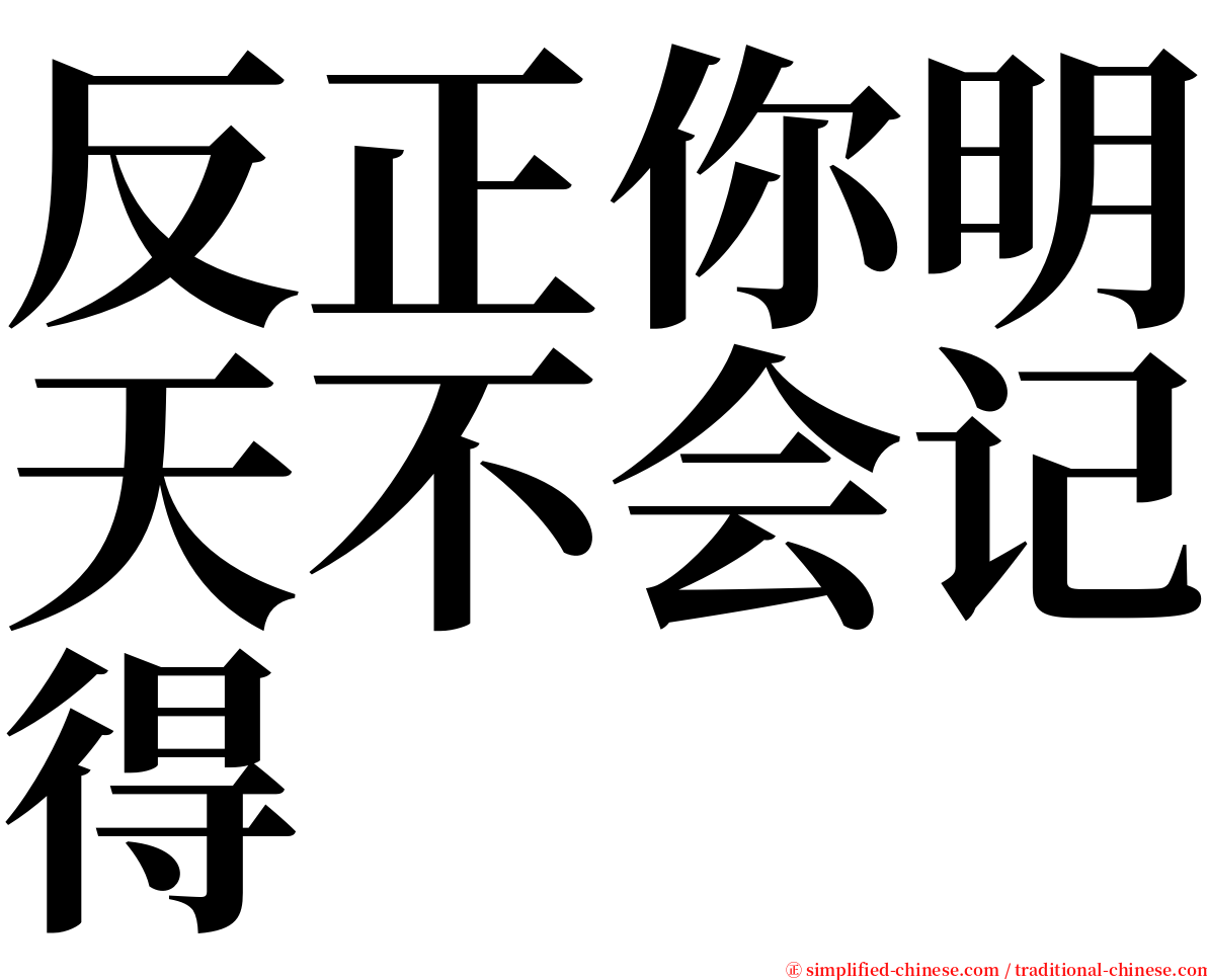 反正你明天不会记得 serif font