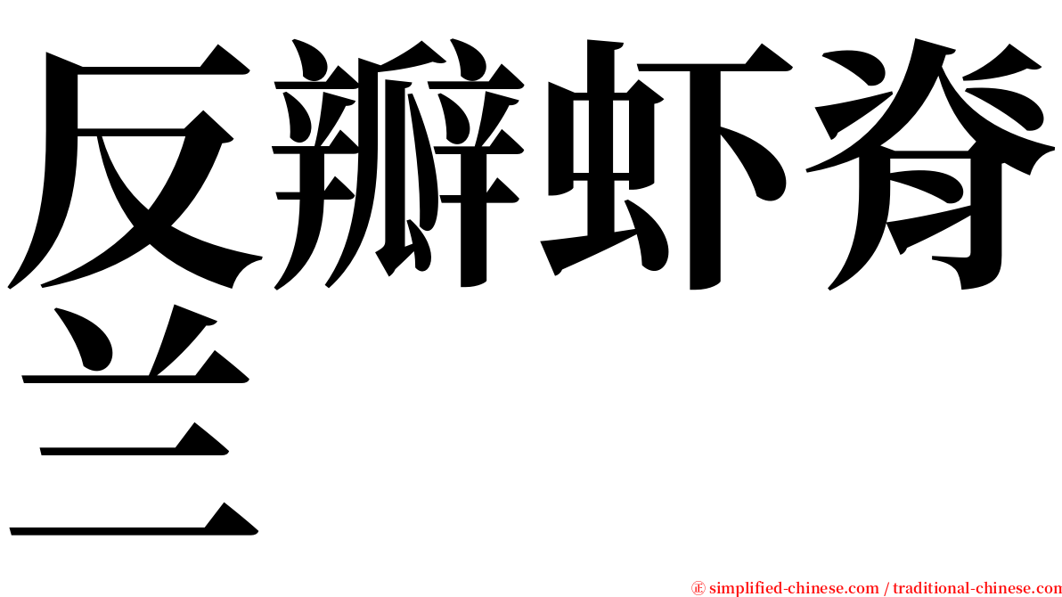 反瓣虾脊兰 serif font