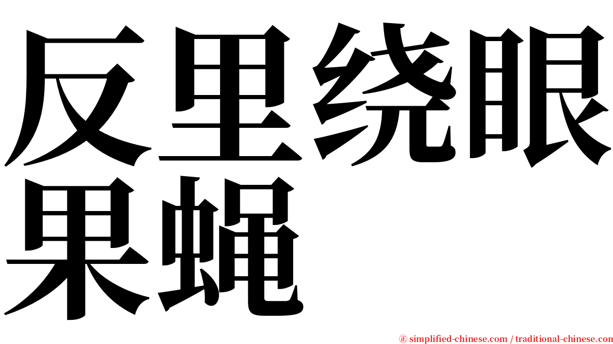 反里绕眼果蝇 serif font