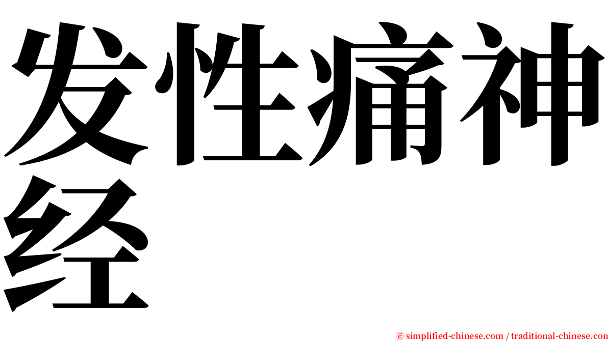 发性痛神经 serif font