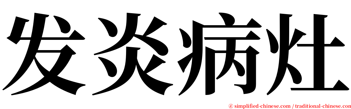 发炎病灶 serif font