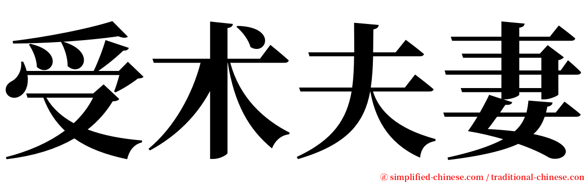 受术夫妻 serif font