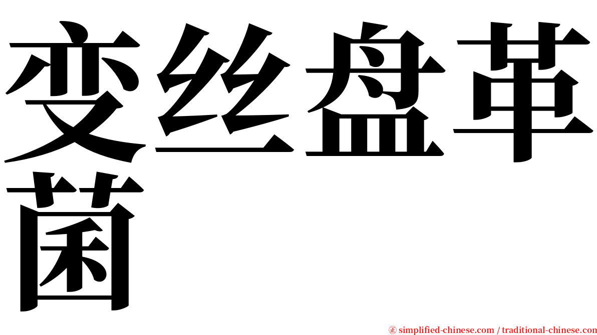 变丝盘革菌 serif font