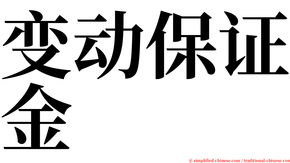 变动保证金 serif font